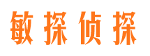 黑水市侦探调查公司